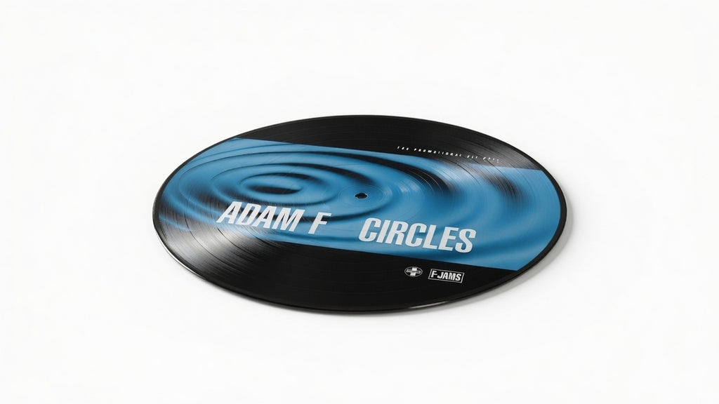 ADAM F - "Circles Coloured Vinyl" - Andy C and Ronni Size remix very limited (not a repress)